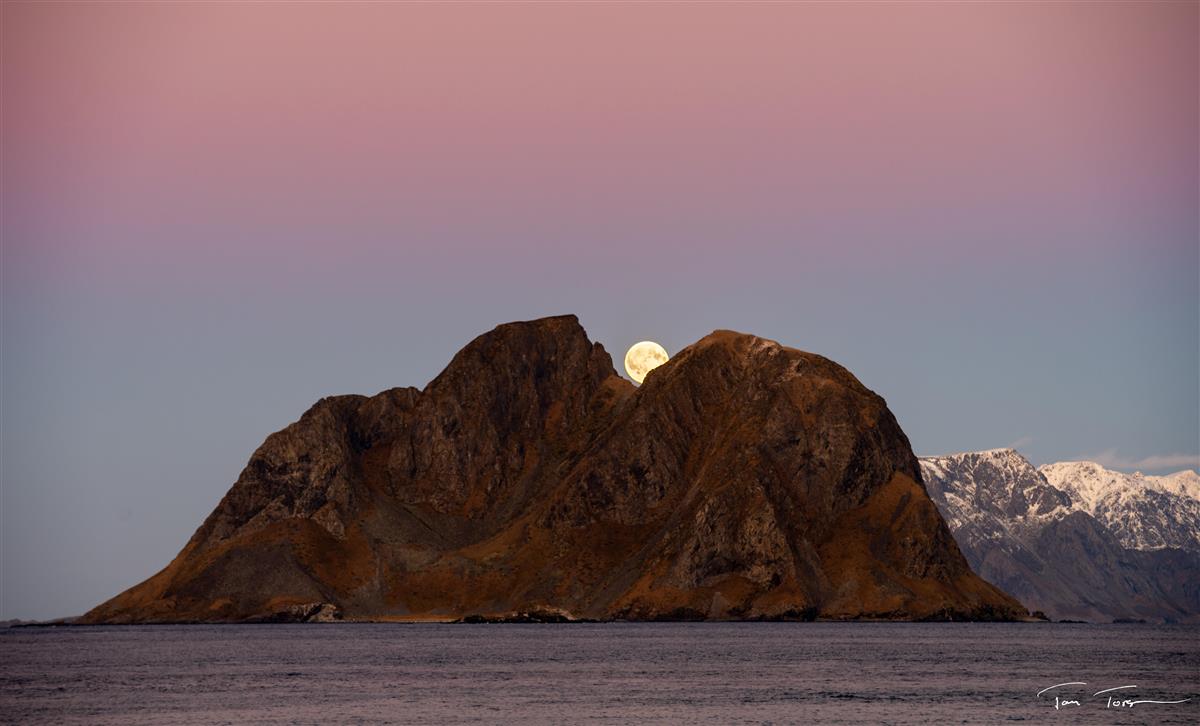 bildet viser mosken med månen i bakgrunnen - Klikk for stort bilde