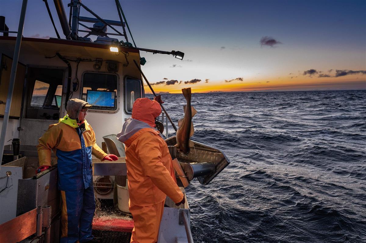 bildet viser fiskere ute i fiskebåt i solnedgang - Klikk for stort bilde